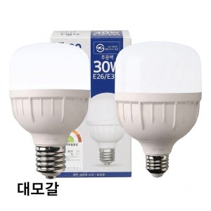 비츠온 T-벌브 빔벌브30W유볼 원통램프 T램프볼전구 작업등고와트크림벌브 LED전구