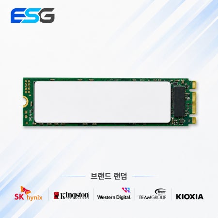 M.2 SATA SSD 256GB 2280 SSD 노트북 데스크탑용