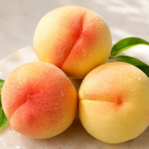 프리미엄 제철 차돌복숭아 딱딱이백도 말랑이황도 대과 산지직송 2kg~4kg