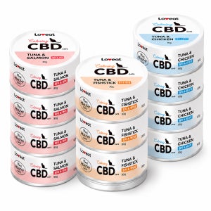 [기간한정] 사조 CBD 고양이 주식캔 흰살참치+맛살, 90g, 24개