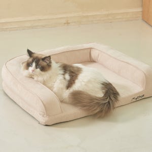 브리즈 강아지침대 탄탄한 에어매트 고양이 방석 쇼파 FREE(One size)