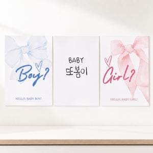 젠더리빌 파티 양면 태명 포스터 3종세트 베이비샤워 소품 성별공개 파티 용품