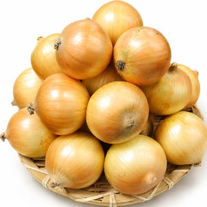 동화팜 국내산 햇양파 양파 특, 10kg, 1개