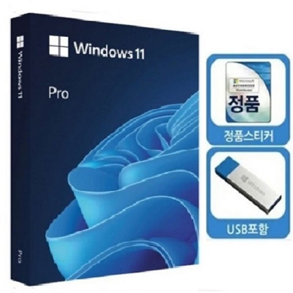 윈도우11 프로 (USB포함)