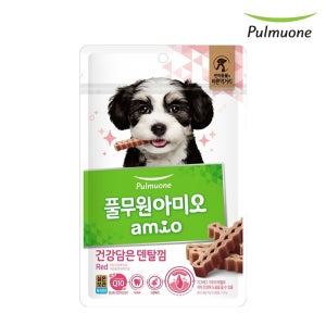 풀무원 아미오 건강담은 덴탈껌 레드, 100g, 1개