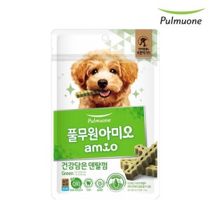 풀무원 아미오 건강담은 덴탈껌 그린, 100g, 1개