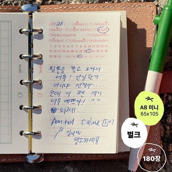 [parslley] 파슬리 상점 A8 5공 컬러 속지 (180매)
