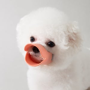 강아지 입마개 입댕로랑 실리콘 오리입 입질방지 짖음방지 산책용 소형견 애견