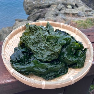 완도산 염장 곰피(쇠미역) 5kg 10kg 원산지 국산 전라남도 완도