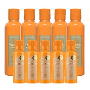 프로폴린스 프로가글 600ml5병 휴대용150ml5병 프로폴리스 구취제거 구강세정제