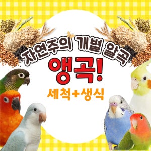 앵무새먹이 자연주의 세척+생식 개별알곡 앵곡 사료 모이 간식 잉꼬 왕관 모란 코뉴어 퀘이커