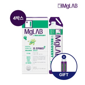 부채표 BCAA 아미노산 전해질보충 에너지젤