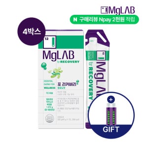 부채표 BCAA 아미노산 전해질보충 에너지젤
