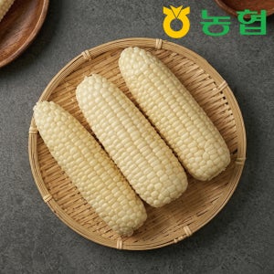 괴산 대학찰옥수수 농협직출고 특품 20개