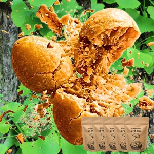 혼자먹는 꽈삭칩 은행 건강한 사무실 등산 아이 간식 동결건조 야채칩 60g, 5개