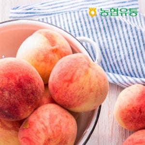 [농협] 충주 하늘작 복숭아 고당도 말랑이 딱딱이 백도 황도 3kg