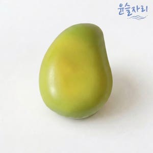 망고 크런치 슬랑이 크런치 말랑이 윤슬자리