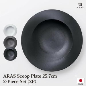 ARAS 스쿱 플레이트 25.7cm 같은 색상 2P 세트 파스타볼 식기세척기 가능 일본산