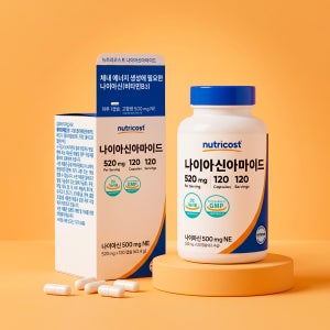 뉴트리코스트 비타민B3 나이아신아마이드 500MG 캡슐 120캡슐, 1개