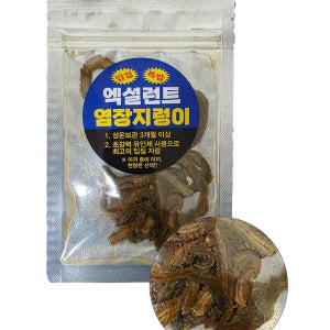 엑설런트 염장 지렁이 갯지렁이 간편 출조 바다 낚시 미끼 청개비
