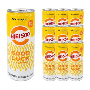 광동 비타500 캔 240ml, 10개