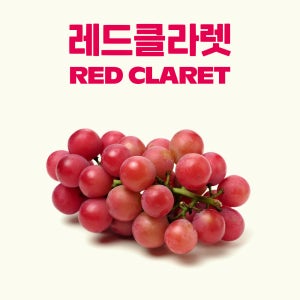 상주 프리미엄 레드클라렛 적색 포도 샤인머스캣