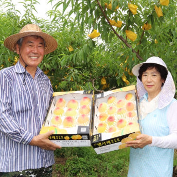 [농할쿠폰]이천 장호원 햇사레복숭아 백도 3kg 4kg [원산지