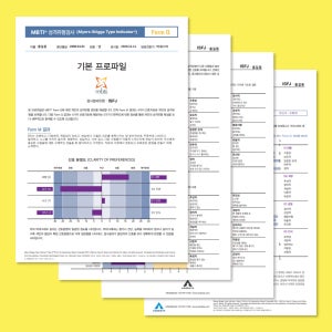 MBTI 온라인 정식검사 중급형 Form Q 엠비티아이 심리테스트
