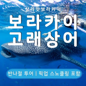 보라카이 고래상어 스노클링 픽업 포함 원데이 투어