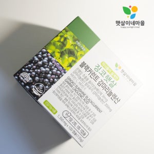 혈액순환 징코햇살 블랙커런트 감마리놀렌산 기억력 은행잎 병풀잎-부원료 600캡슐, 1개