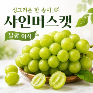 국내산 하우스 샤인머스캣 1kg 1.5kg 2kg 3kg 선물용 가정용 제철 청포도