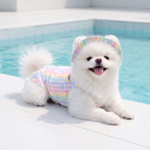 허그팡 강아지 여름옷 쿨링옷 냉감티 산책복 소형견 중형견 대형견