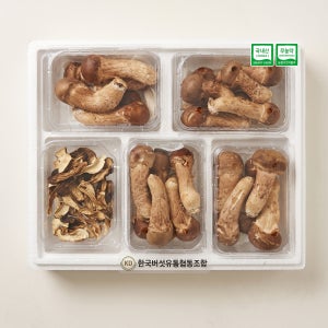무배 [K참송이] 특별 구성 A등급 250gX4팩 + 건버섯50g 1팩 무농약 건강선물
