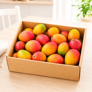 국내산 애플망고 2kg 가정용실속과 경북 안동산 고당도 산지직송 직접재배