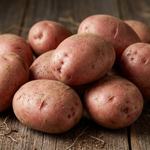 26년 햇감자 국내산 홍감자 수미감자 산지직송 포슬포슬 3kg 5kg 10kg