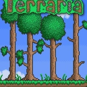 테라리아 Terraria (24시간 즉시발송 PC 스팀) NA