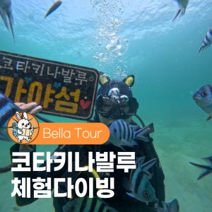 코타키나발루 체험스쿠버다이빙 호핑투어 씨워킹 패러세일링 자유여행