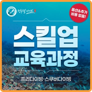 PADI 스킨스쿠버다이빙강습 - 프리다이버·스쿠버다이버 스킬업 교육과정 6회