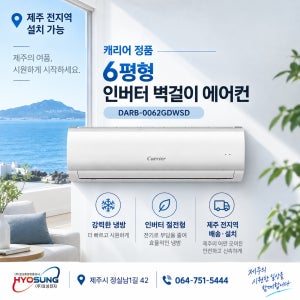 [제주 에어컨] 캐리어 인터버 벽걸이형 에어컨 6평 [냉방]
