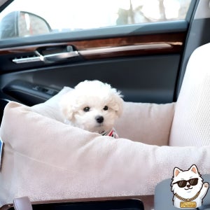 강아지 카시트 전좌석 설치 소형견 다크 베이지 극세사 드라이브 쿠션 방석 분리 60cm
