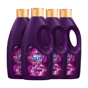 초고농축 피죤 섬유유연제 시그니처 퍼퓸향기 미스틱레인, 2L, 4개