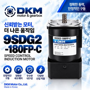 DKM 9SDG2-180FP-C 180W AC 스피드 인덕션 모터 단상 220V 60Hz