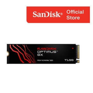 샌디스크 Optimus GX 7100 M.2 SSD 1TB