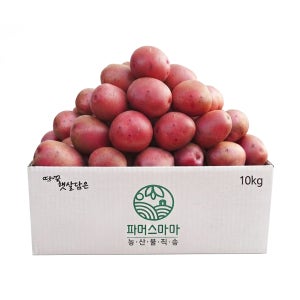 2026년 햇감자 해남 홍감자 10kg 해남고구마생산자협회