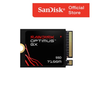 샌디스크 Optimus GX 7100M M.2 2230 SSD 1TB