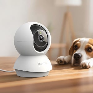TP-Link 타포 C250 반려동물 홈캠 원룸 자취방 실시간 무선 CCTV