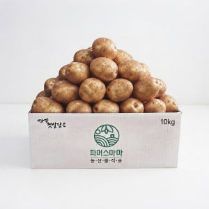 2026년 햇감자 해남 대서감자 10kg 파머스마마농장 김대연