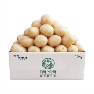 2026년 햇감자 해남 수미감자 10kg 해남고구마생산자협회