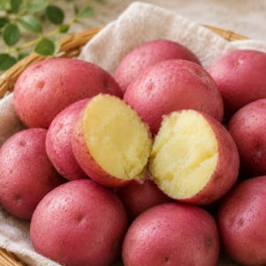 영희네 밤맛 나는 카스테라 자색 홍감자 5kg 2kg 3kg 10kg