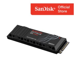 샌디스크 Optimus GX H.S. Pro NVMe M.2 850X H.S. (히트싱크) 4TB